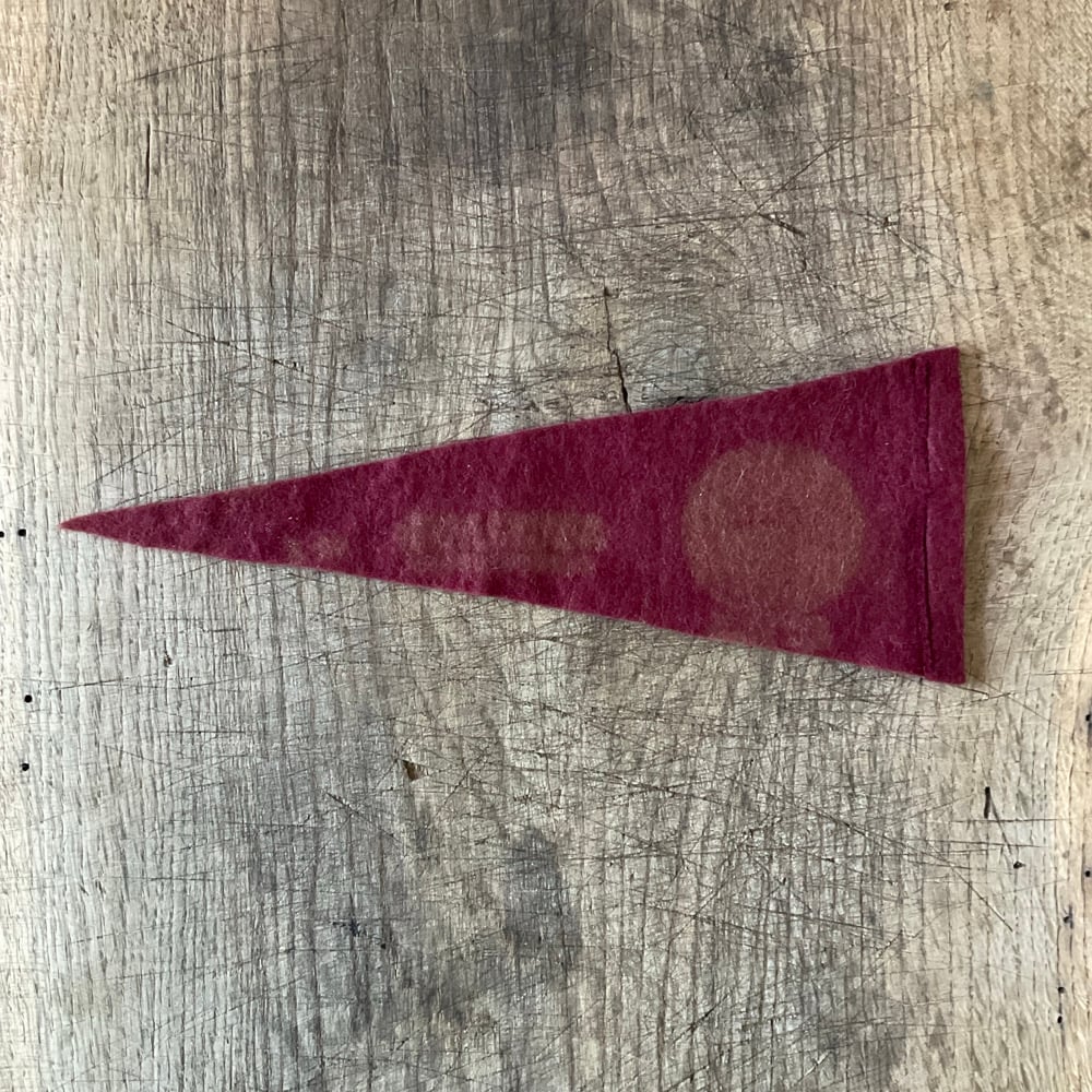 Image of Felt Pennant