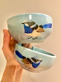 Tiny Wren Bowl
