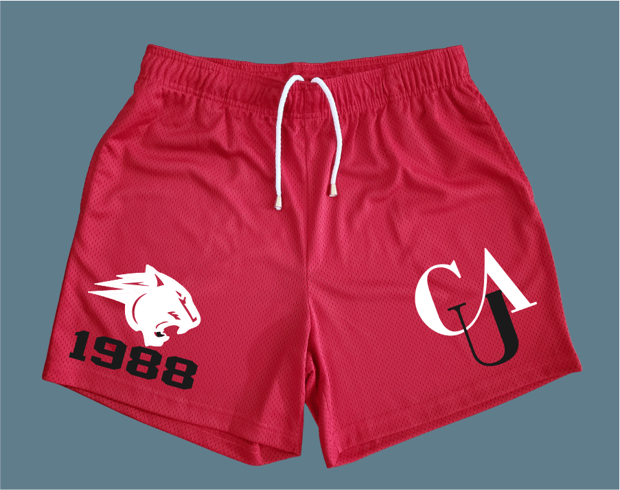 Clark Atlanta Reversible Basketball Shorts – Tones of Melanin