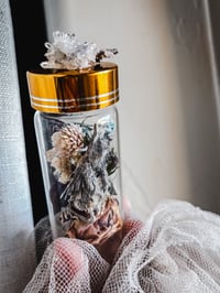 Image 1 of Reserved for Jennifer !!! Baby dove 