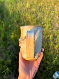 Image 4 of Golden Longhorn