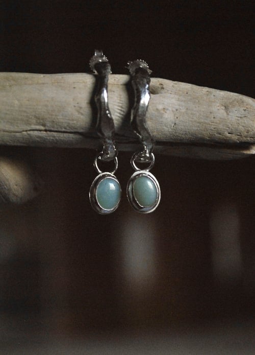 Image of Orecchini “rami” con amazzonite