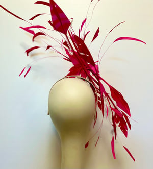 Image of Hot pink feathers. 