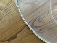 Image 8 of Pearl Trimmed Veil