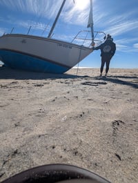 Image 4 of The Jetty Set Hoodie - Adult