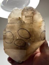 Image 3 of Smoky Quartz Enhydro Multi Terminated Crystal | Zambia #2966 