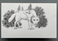 Image 2 of Country Roads - Arwork 