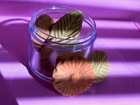 Image 6 of Flower Pot 