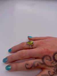 Image 2 of Pear Shaped 