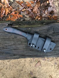 Image 5 of Cenote V2 - Bellingham Bay