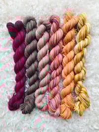 Image 1 of Hand Dyed Australian 8 ply Merino Wool 25 gram x 6 Packs