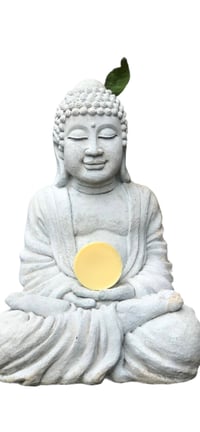 Image 1 of Lotion Bar