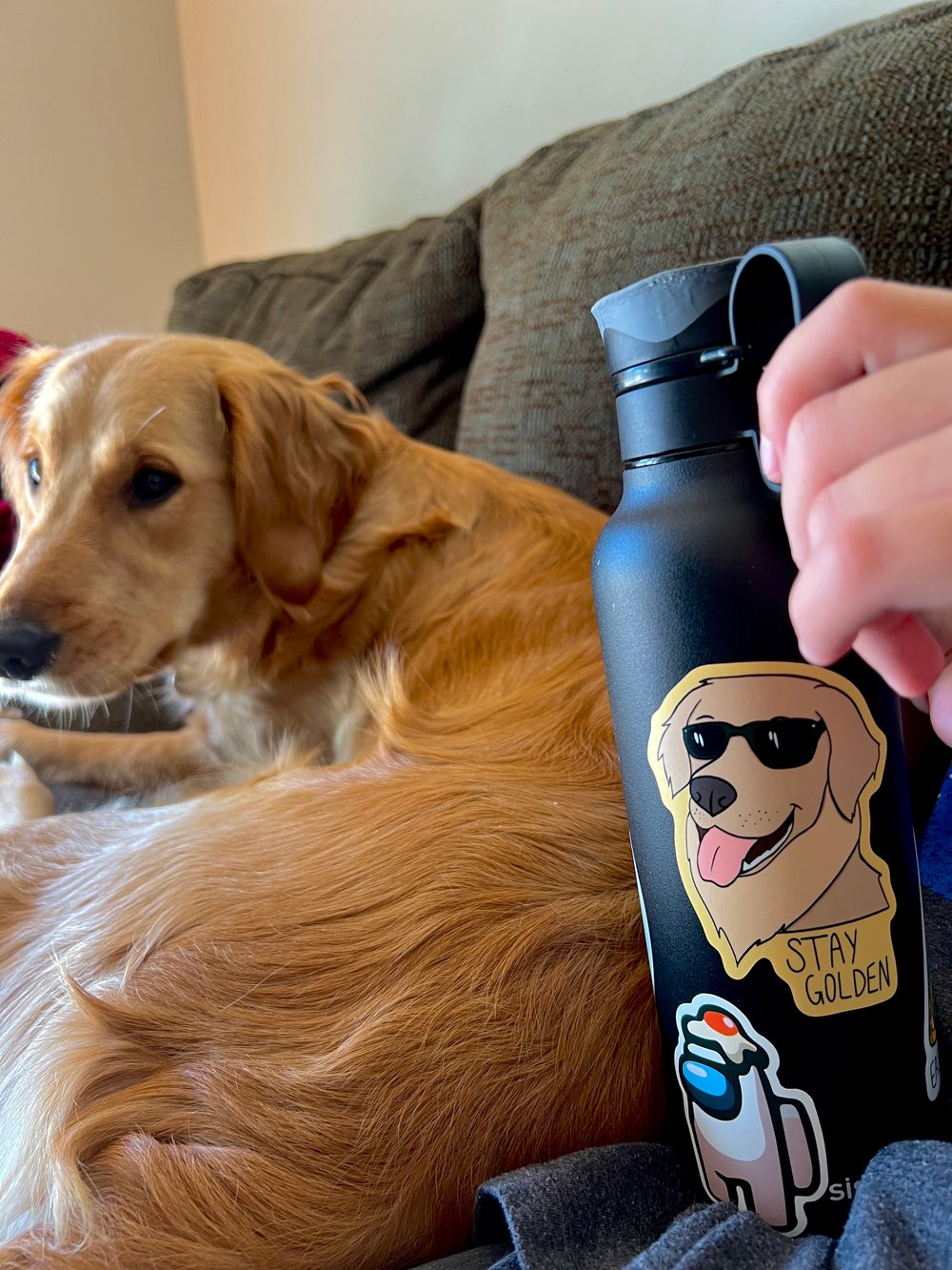 Image of Stay Golden