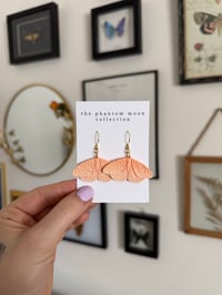 Image 2 of Orange Ombre Moth