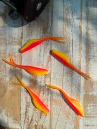 Image 3 of 3" Chubby Minnow Split tail - AC Special