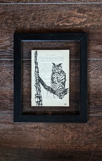 Image 4 of Antique Book Project - Birds of a Feather