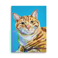 Image 1 of Orange Cat