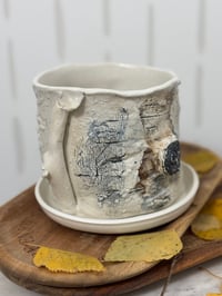 Image 4 of Birch bark Planter (#6)