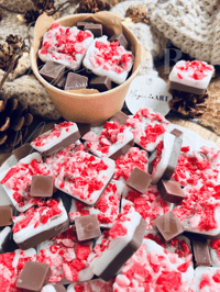 Image 1 of Peppermint Mocha Fudge