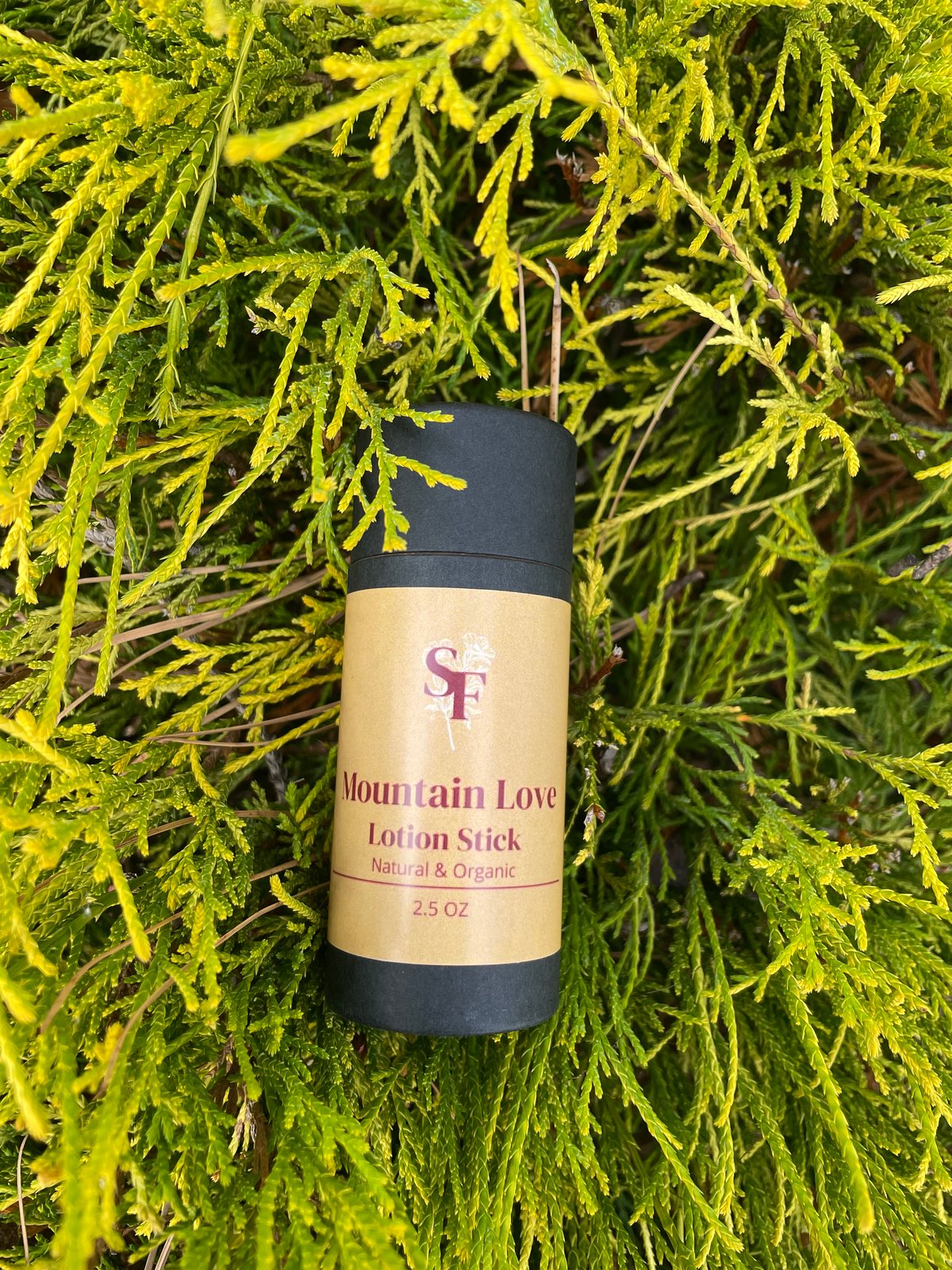 Image of Mountain Love - Eucalyptus & Rosemary Lotion Stick