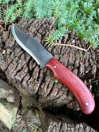 Image 2 of PADAUK BOWIE