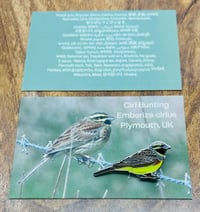 Image 1 of Cirl Bunting Enamel Pin Badge - Private Commission
