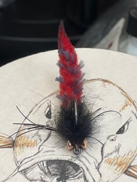 Image 3 of Mottled Polly Wog