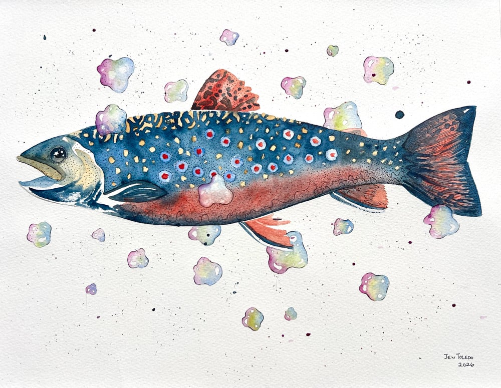 Image of Brook Trout