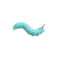 Hornworm