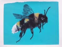 Image 2 of Bee Real