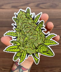 Fishing Buds Sticker