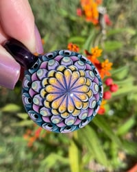 Image 4 of sweet lavender