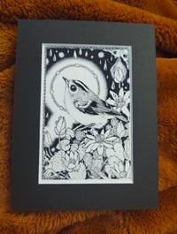 Image 2 of B&W Goldcrest and celandine