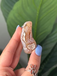 Image 2 of TUMBLED AGATE #5 -MALAWI-