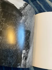 Image 5 of TOKYO WILD CATS, Hana Takeda, 1996.