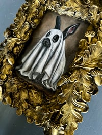 Image 5 of Liebre fantasma 