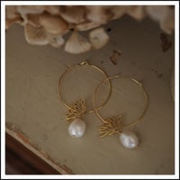 Image 3 of Rebirth (hoops)