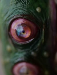 Image 13 of Mutant Pickle Pendant, big mouth, four eyes