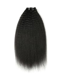 Kinky single bundle 