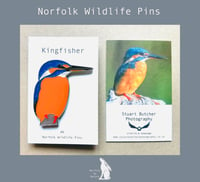 Kingfisher - #6 - Norfolk Wildlife Series - SB Photography