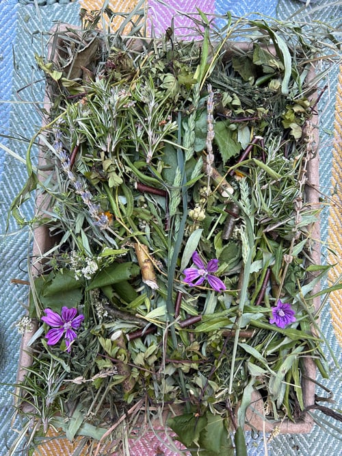 Image of Recycled deep tray filled with mixed dried forage *limited stock!*
