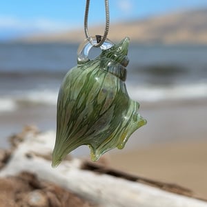 Image of Green and White coral Bulb Shell