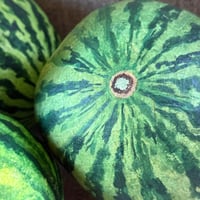 Image 3 of Party Size Watermelon