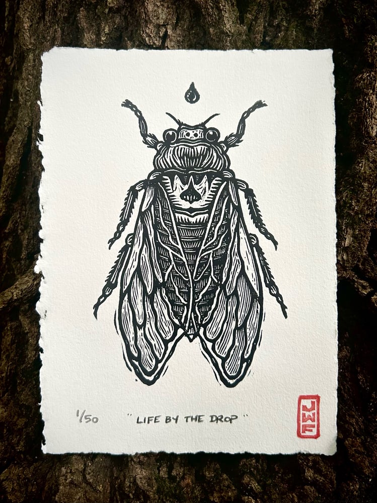 Image of “Life by the Drop” - Cicada print