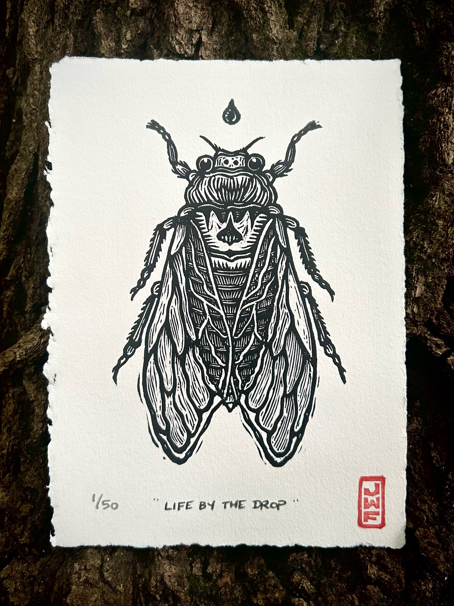 Image of “Life by the Drop” - Cicada print
