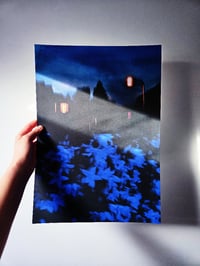 Image 4 of BLUE NIGHT, FLOWERS II 