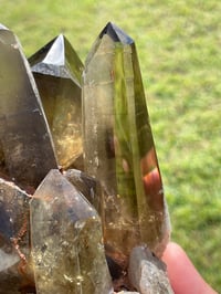 Image 17 of Smoky Citrine Points Cluster #1876