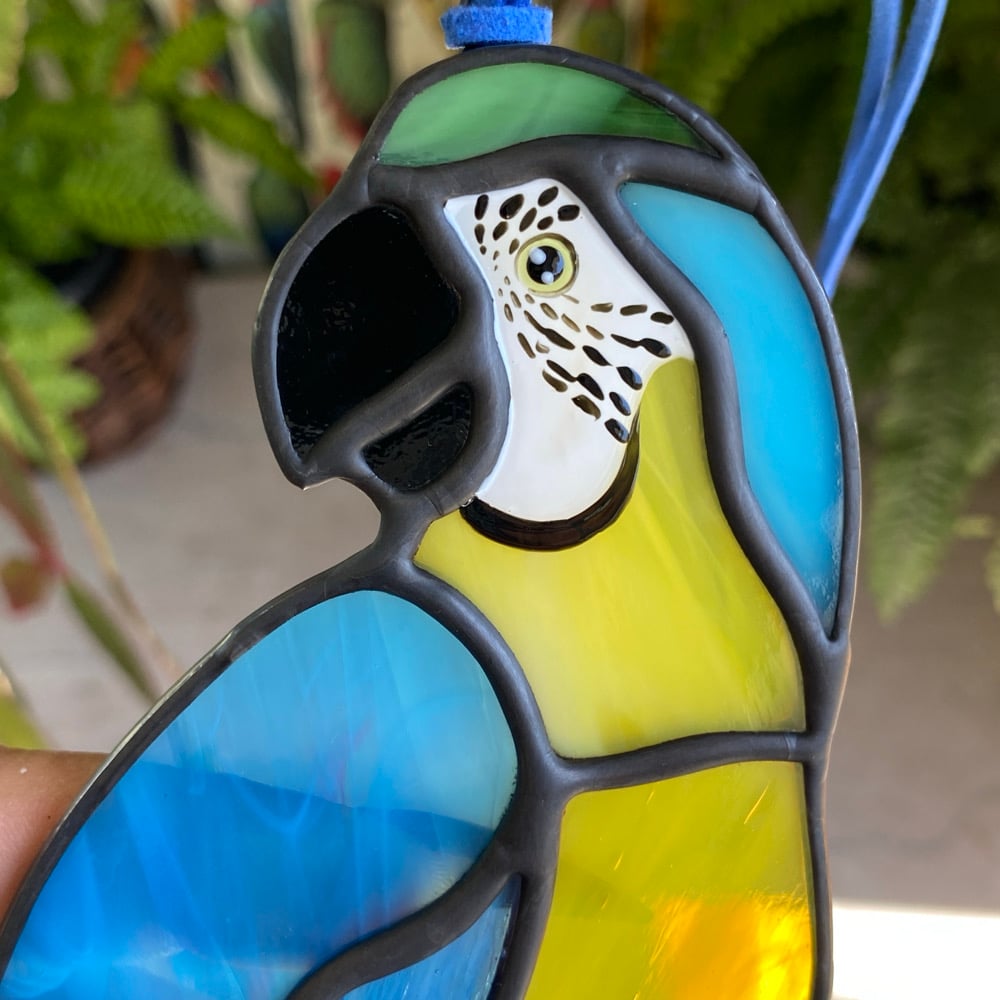 Image of Blue and Gold Macaw