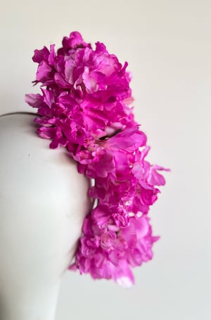 Image of Bright pink flower trail   