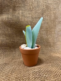 Image 6 of Mother in Law Tongue 